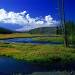 CM Yellowstone