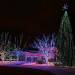 CM Houston - Christmas Lights in Houston